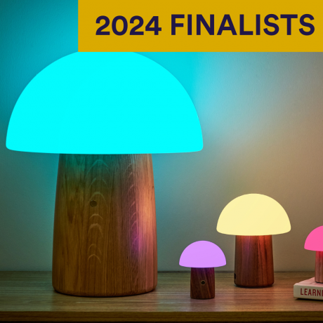 2024 Finalists - Gingko