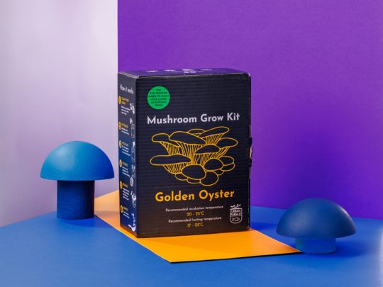 Ethical and Sustainable Gift