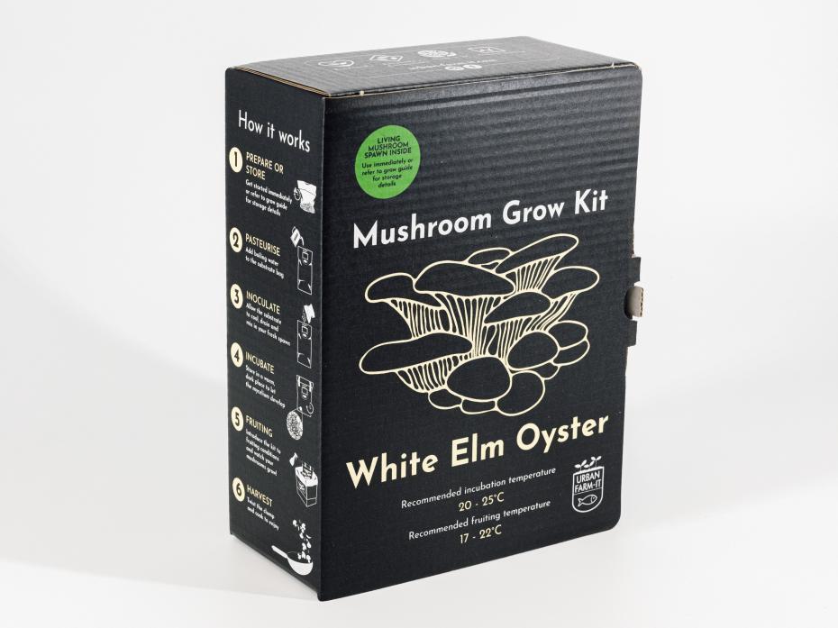 Mushroom Grow Kit - White Elm