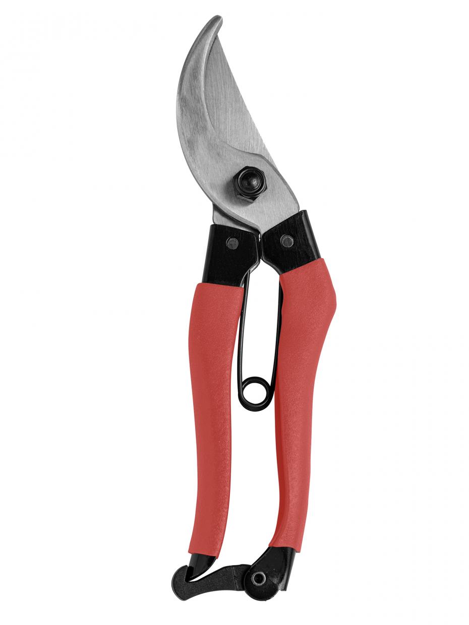 Burgon and Ball 'Collector' range gift boxed tools - coral secateurs