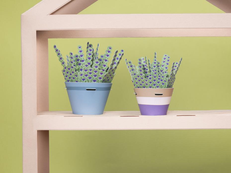 Make Your Own Calming Lavender Paper Plant Kit