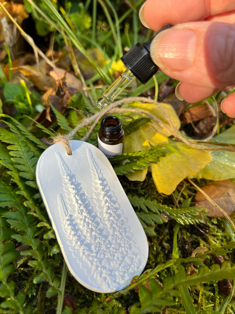 Reusable Car Freshener