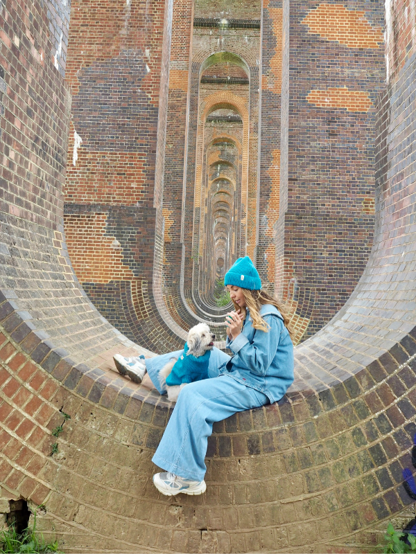 Vibrant blue Dog Jumper and Matching beanie