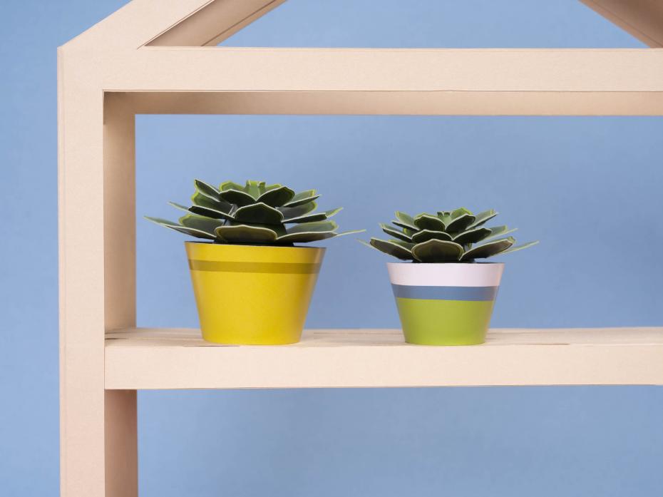 Make Your Own Soothing Succulent Paper Plant Kit Video