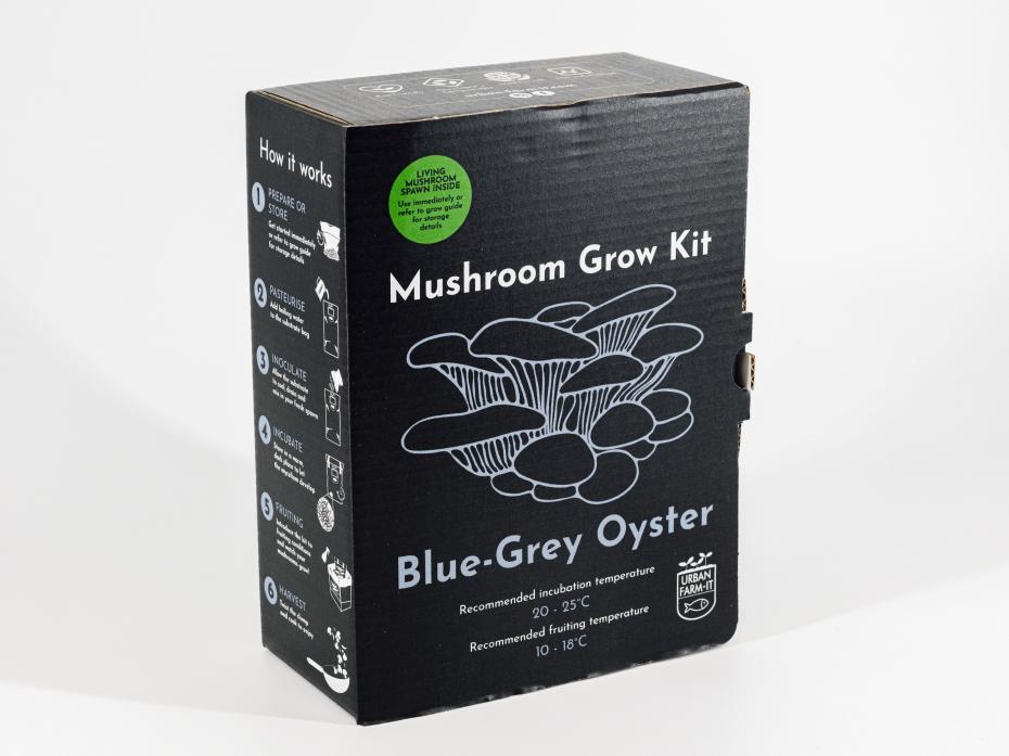 Mushroom Grow Kit - Blue-Grey