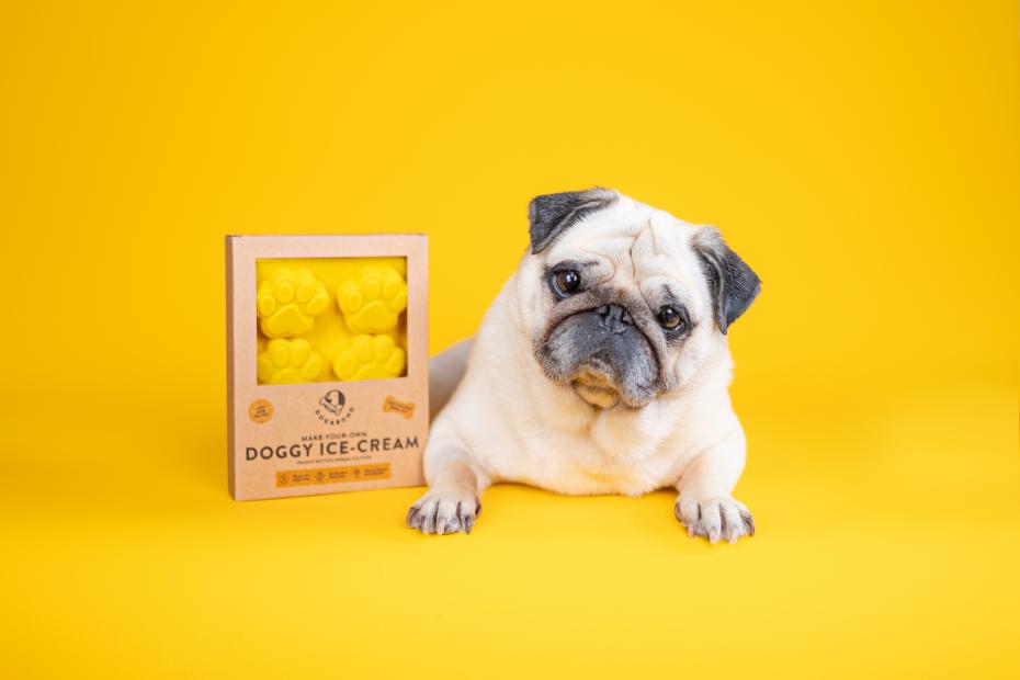 Doggy Ice-Cream Kit by Dog & Bond