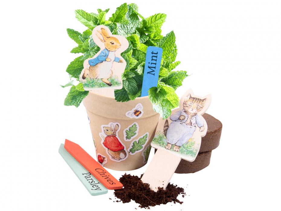 Peter Rabbit Herb Kit Grown Herb