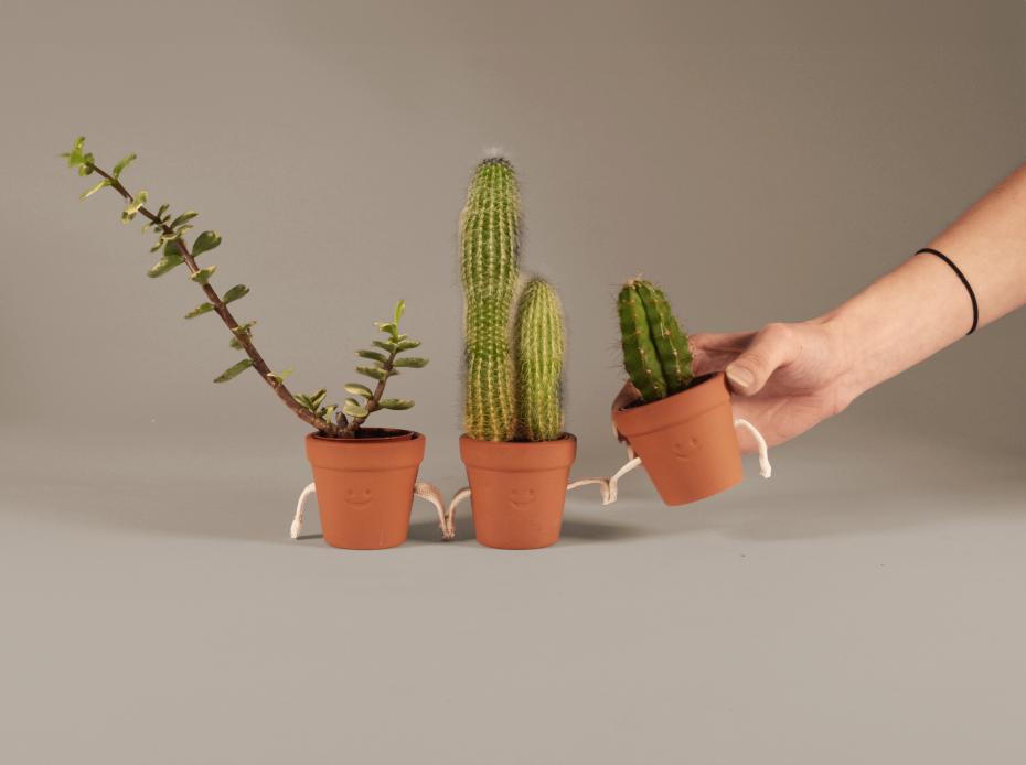 Hand Holding Succulent Pots by Pikkii