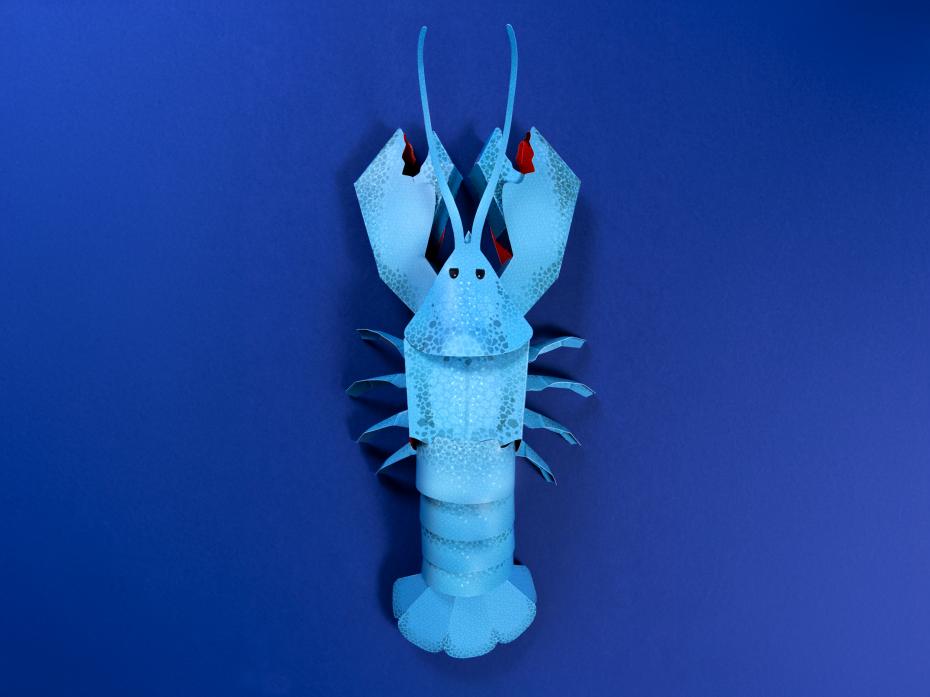 Make Your Own Loveable Lobster - Blue