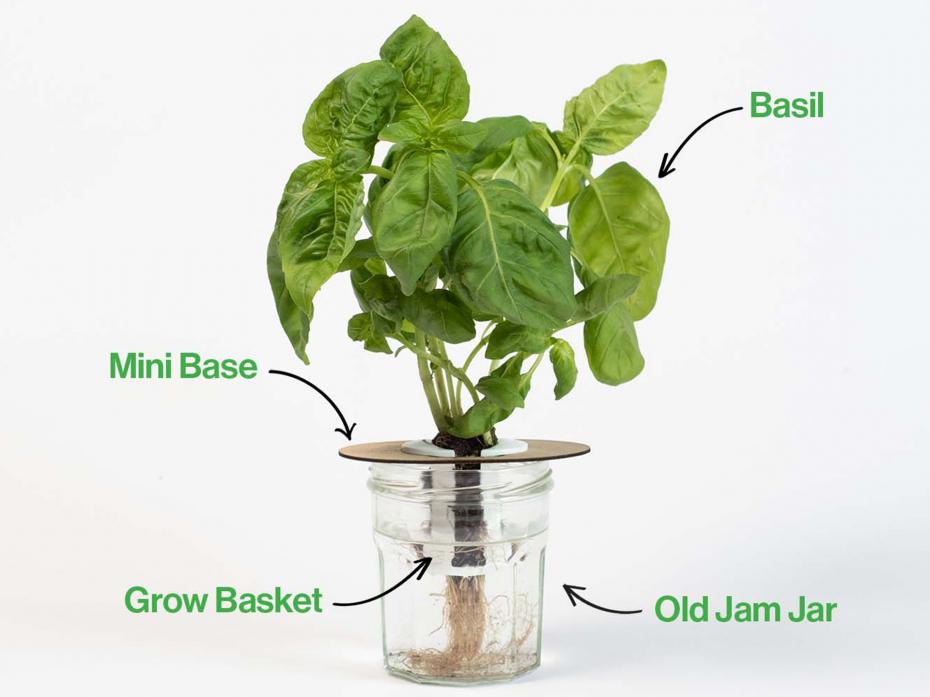 The kit comes with everything you need to grow fresh herbs & vegetables