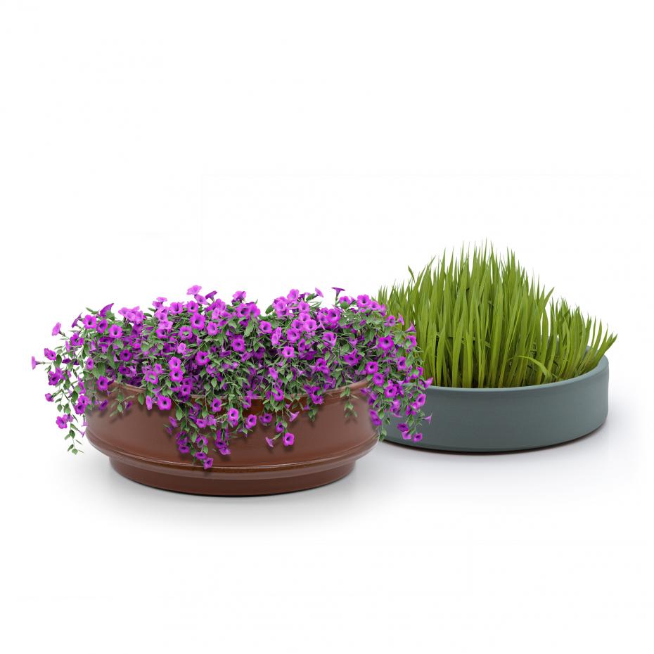 The microgreen grower can also be used as a sustainable way of keeping indoor flowers!