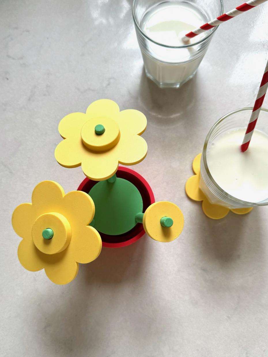 Flower Pot Coaster Set