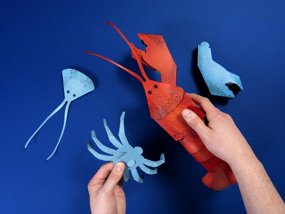 Make Your Own Loveable Lobster - Building