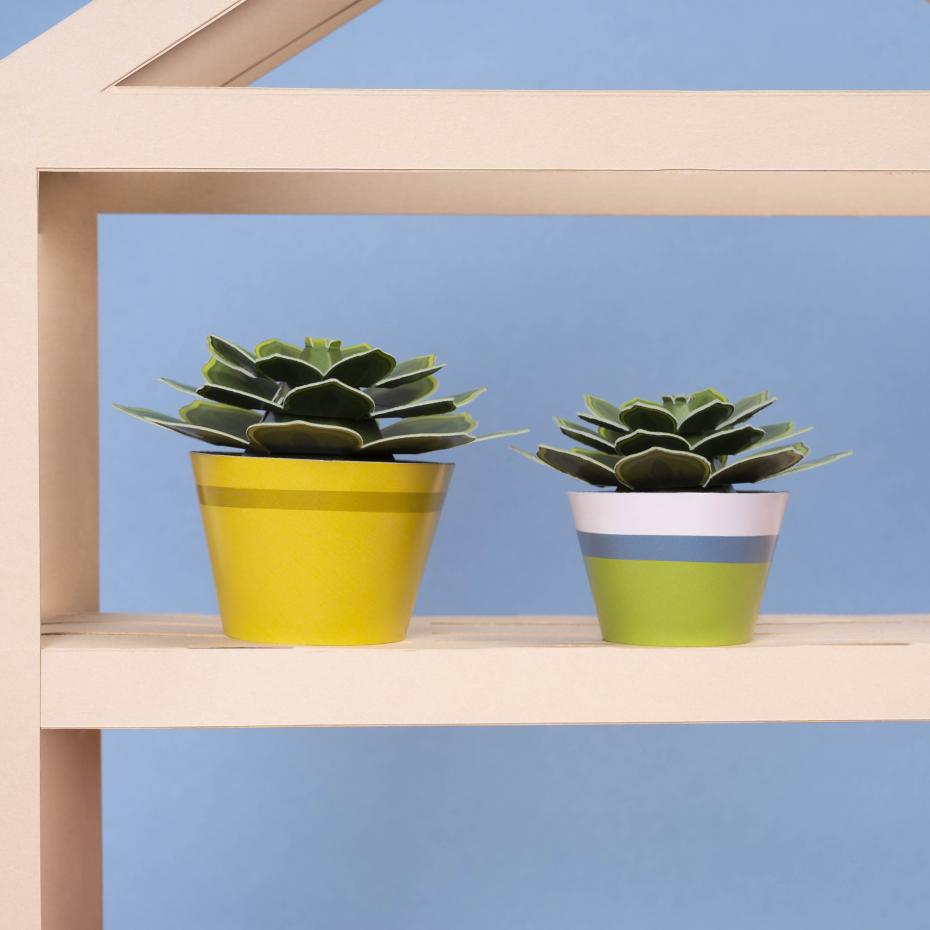 Make Your Own Soothing Succulent Paper Plant Kit