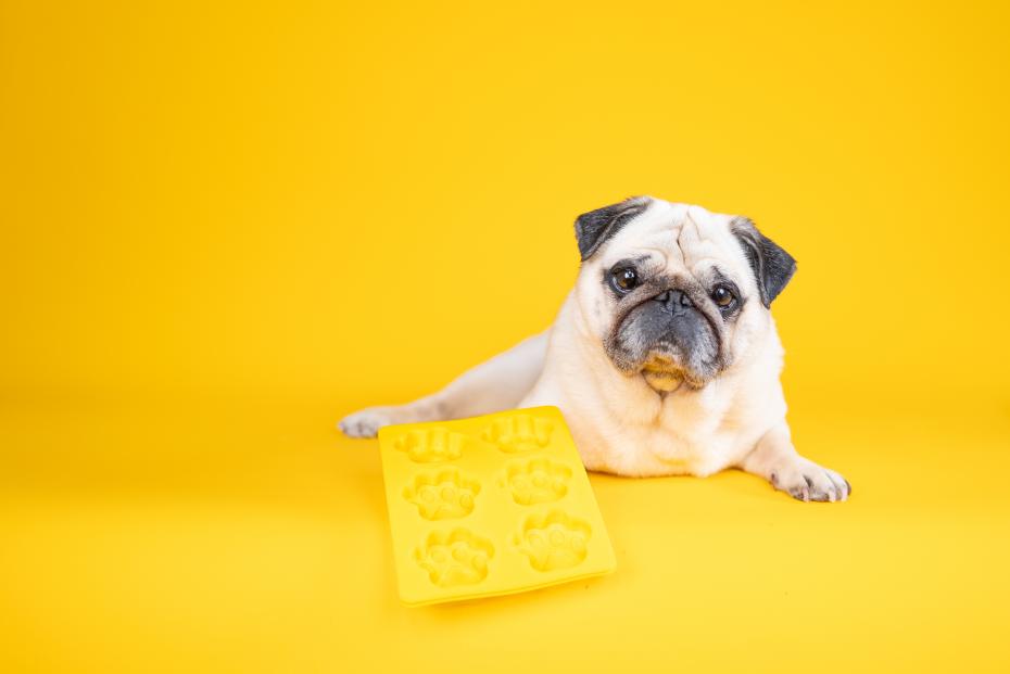 Fun Reusable Paw-Shaped Mould