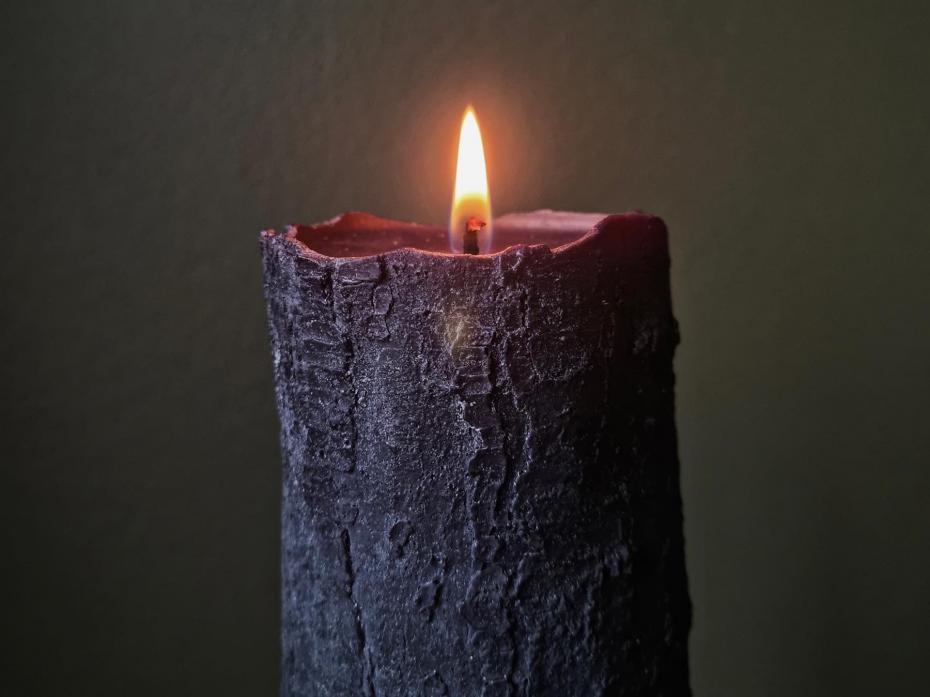 The Arboreal Collection: Branch candle lit