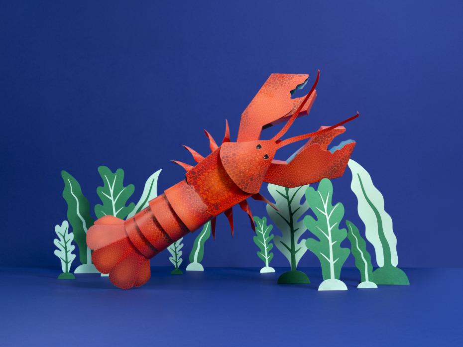 Make Your Own Lovable Lobster