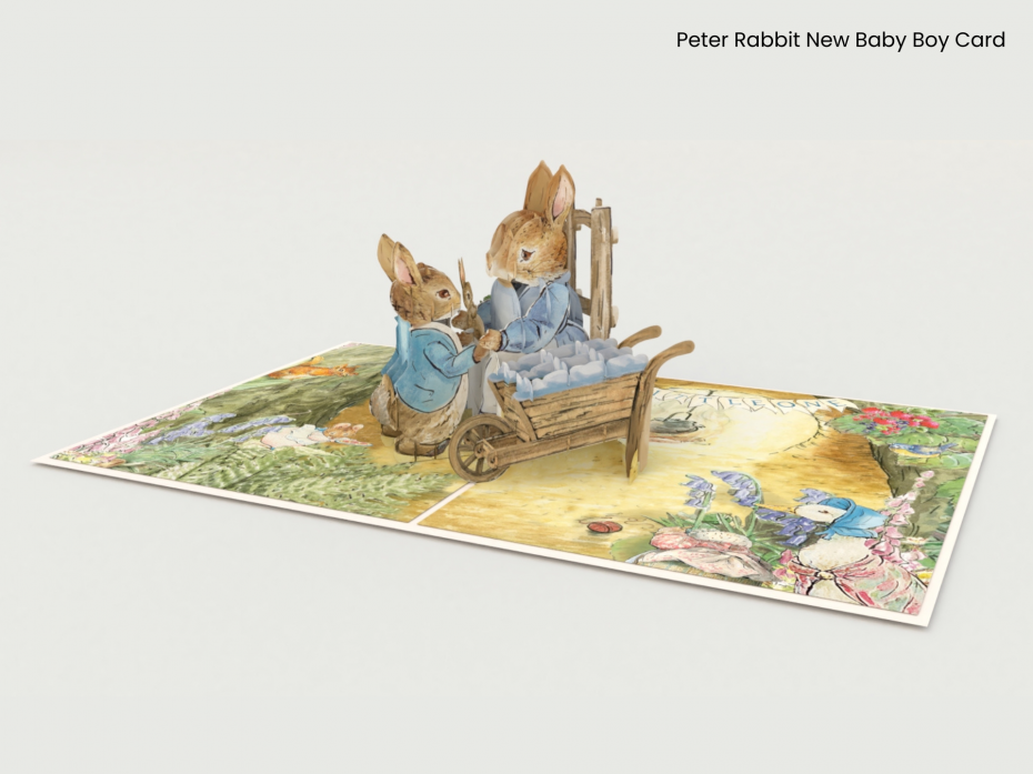 Peter Rabbit New Baby Boy Card