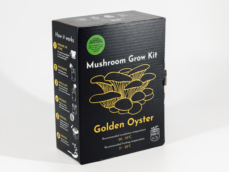 Mushroom Grow Kit - Golden