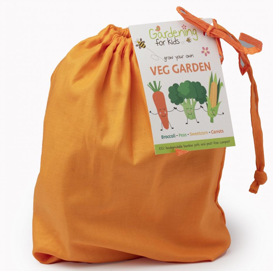 Children's Grow Your  Vegetable GardenKit