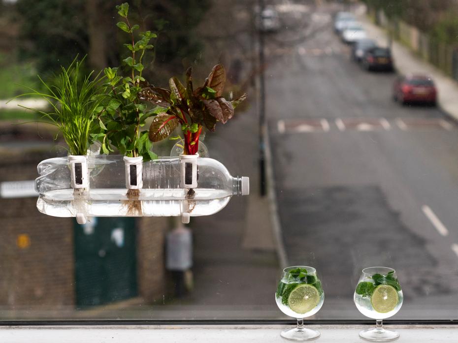 Bring a fresh herbs to your windowsill.