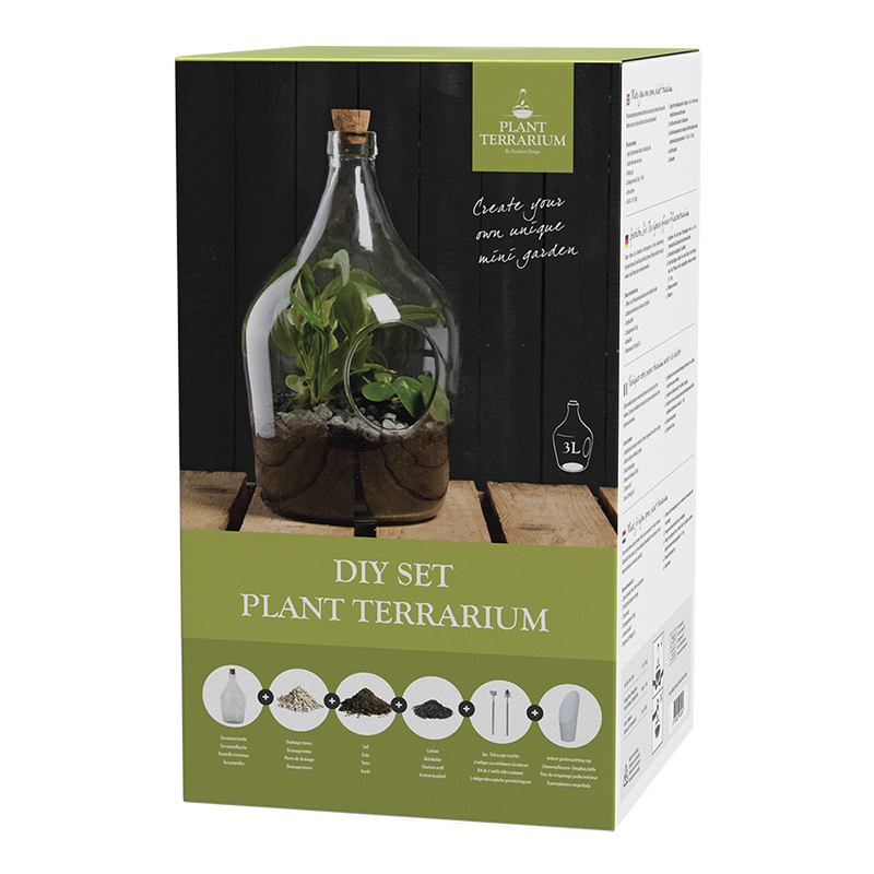 AGG92 - DIY Terrarium Gift Set 3ltr