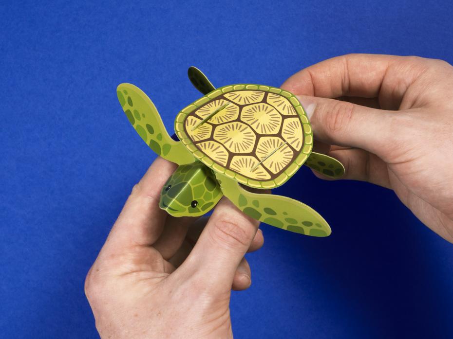 Create Your Own Tiny Turtle