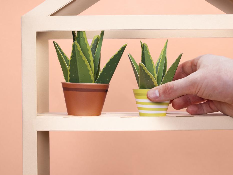 Make Your Own Healing Aloe Vera Paper Plant Kit