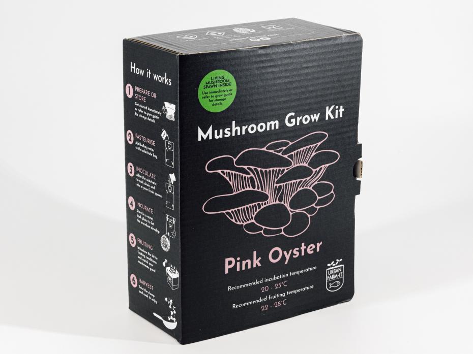 Mushroom Grow Kit - Pink Oyster