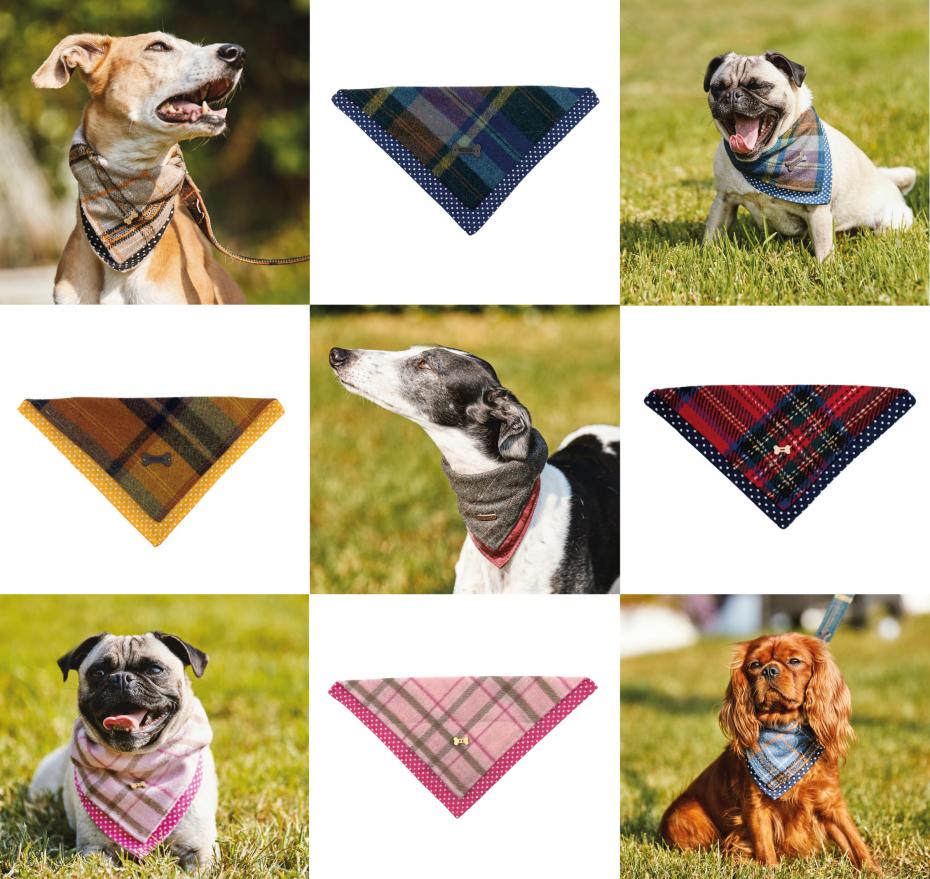 Heritage Hounds Range Collage