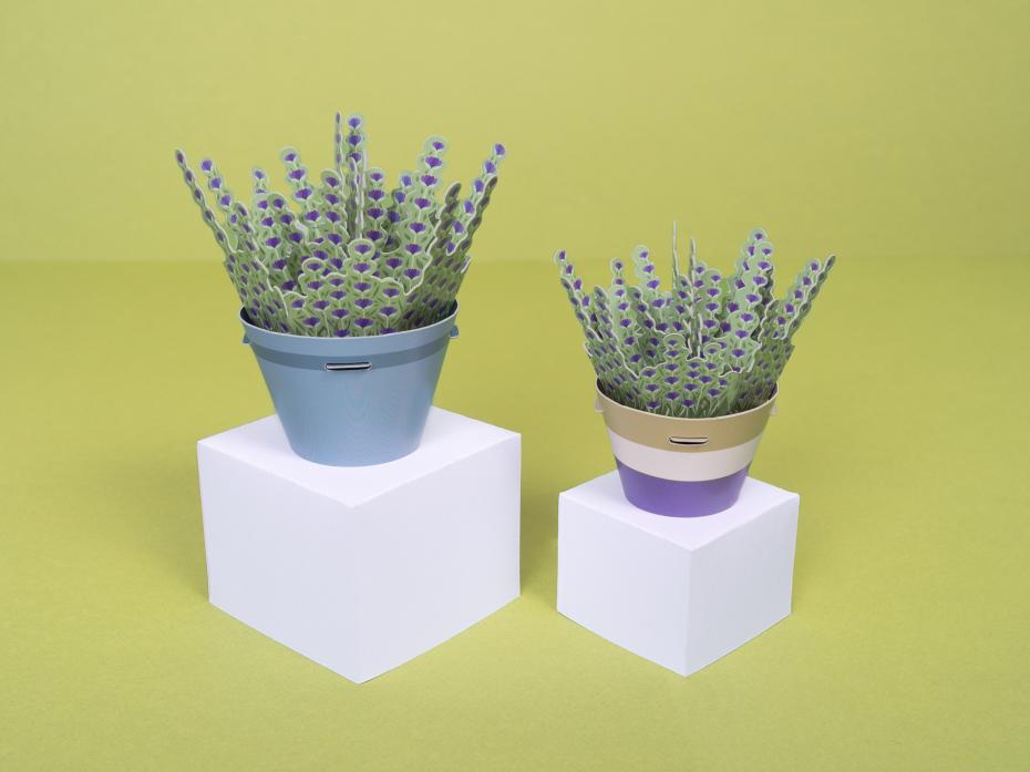 Make Your Own Calming Lavender Paper Plant Kit