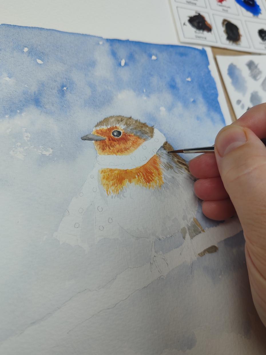 Painting the robin