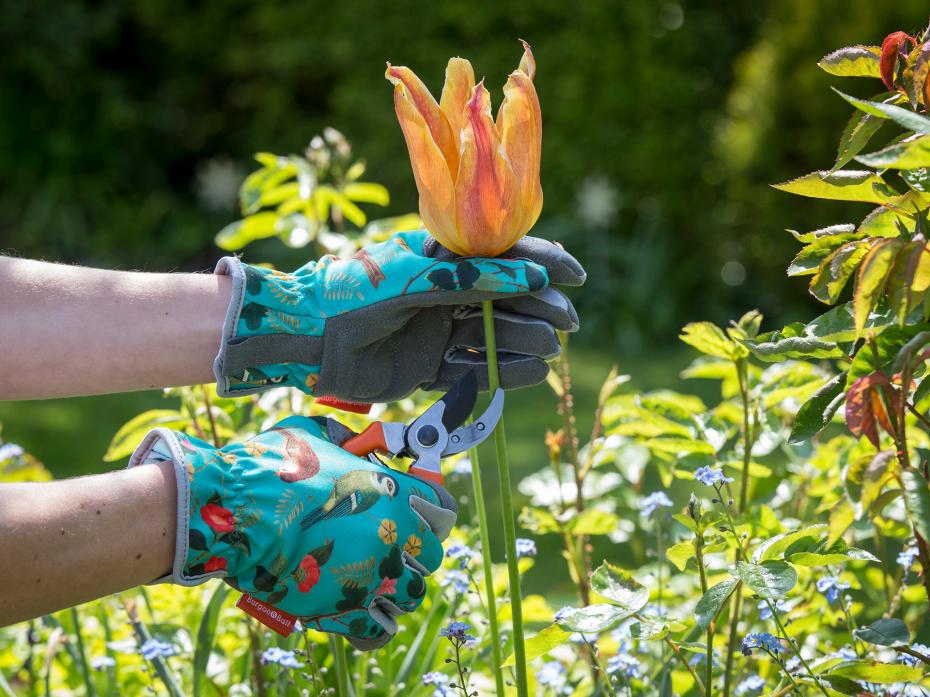 Burgon & Ball RHS Gifts for Gardeners 'Flora and Fauna' gloves