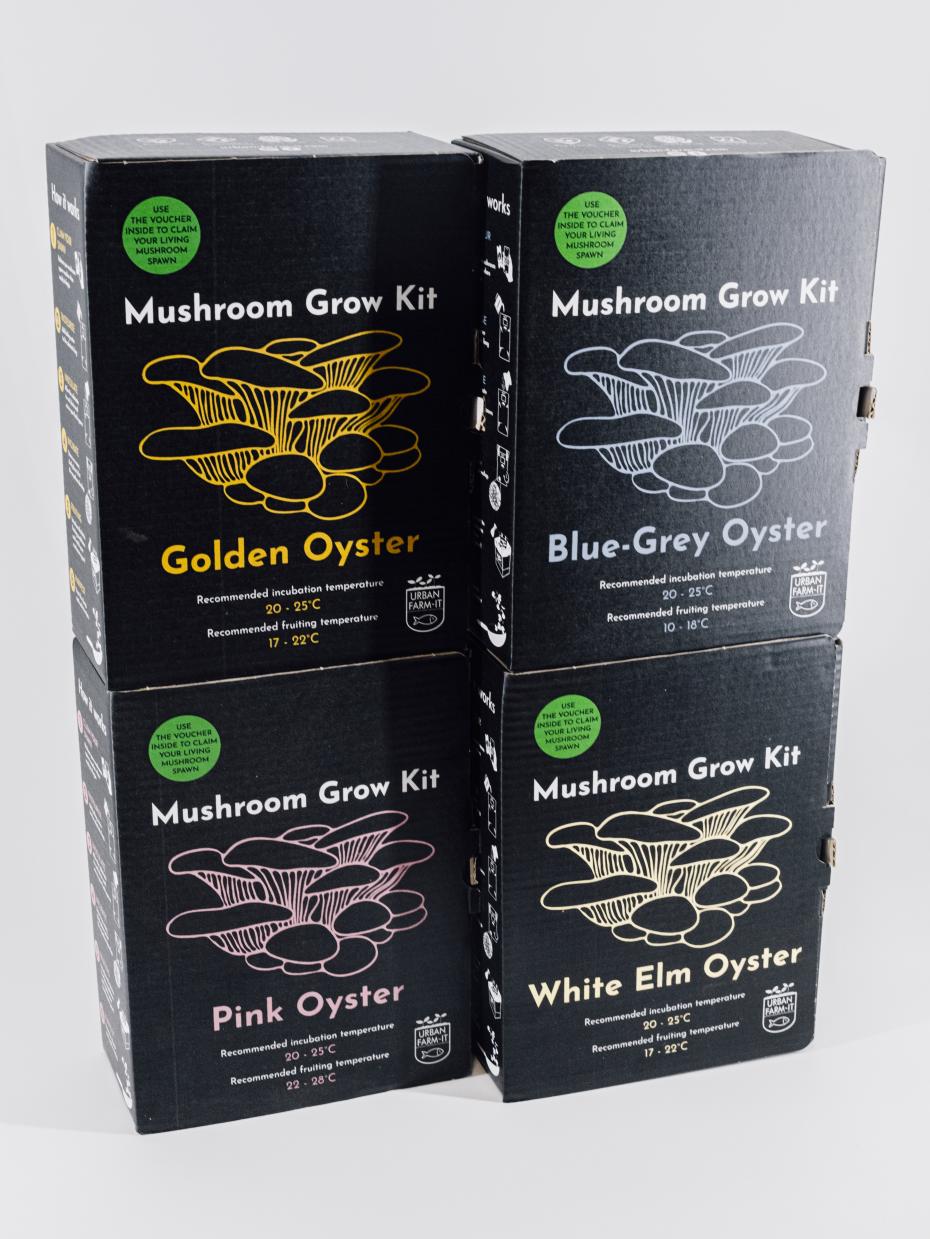 Oyster Mushroom Growing Kit