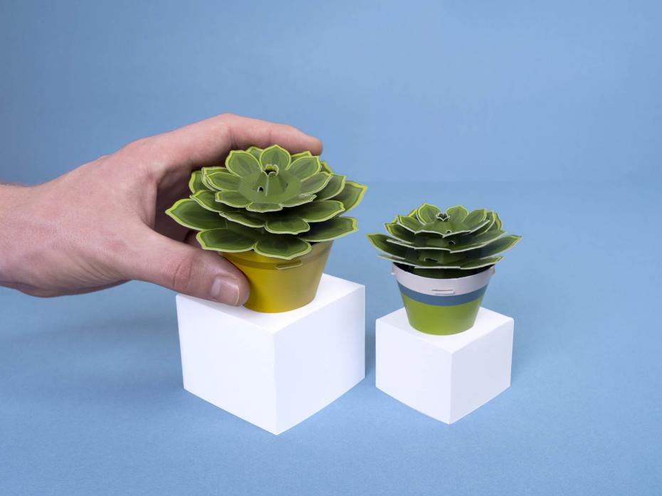 Make Your Own Soothing Succulent Paper Plant Kit