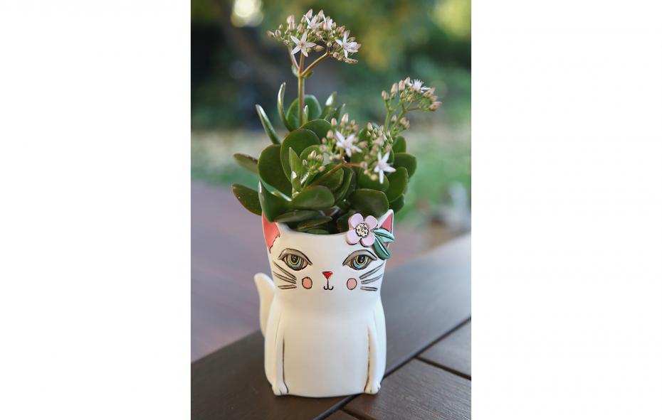 Pretty Kitty Planter