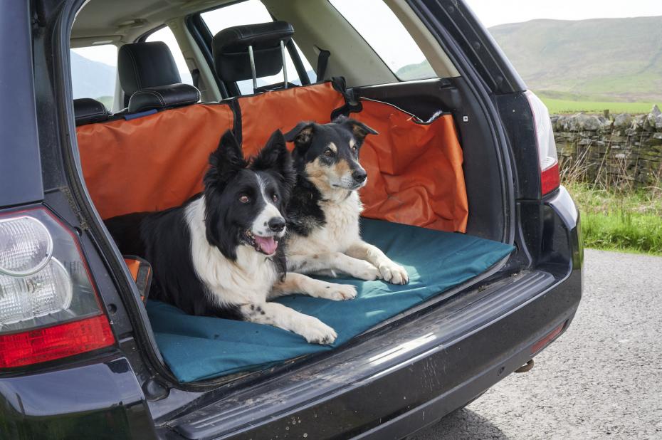 Roll-Up Travel Mat for Dogs