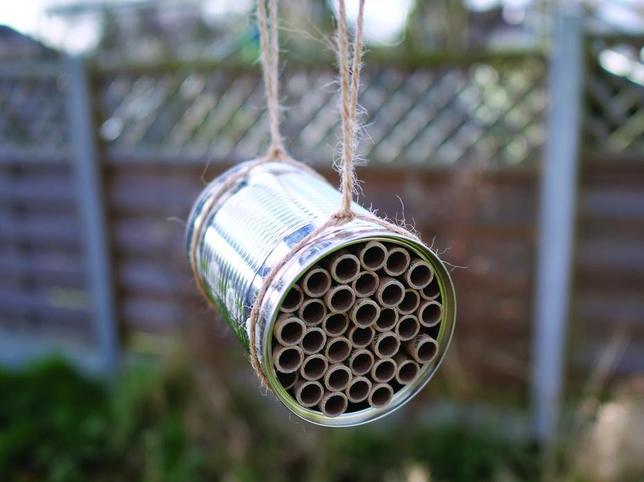 Make a solitary bee home with a recycled tin can