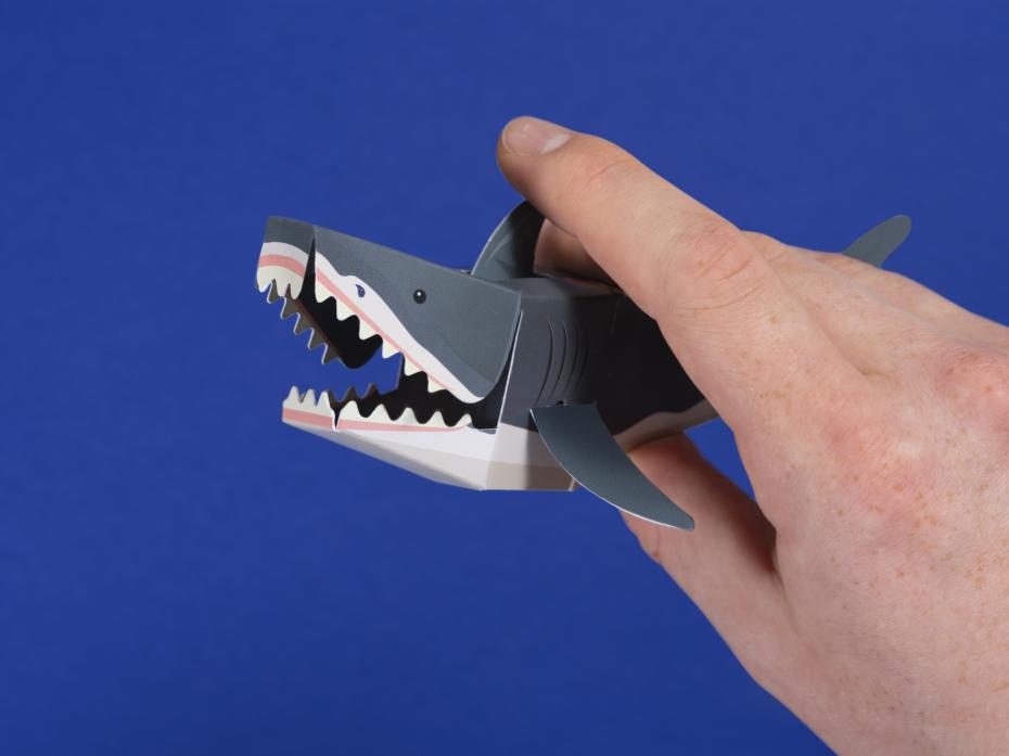 Create Your Own Chomping Shark