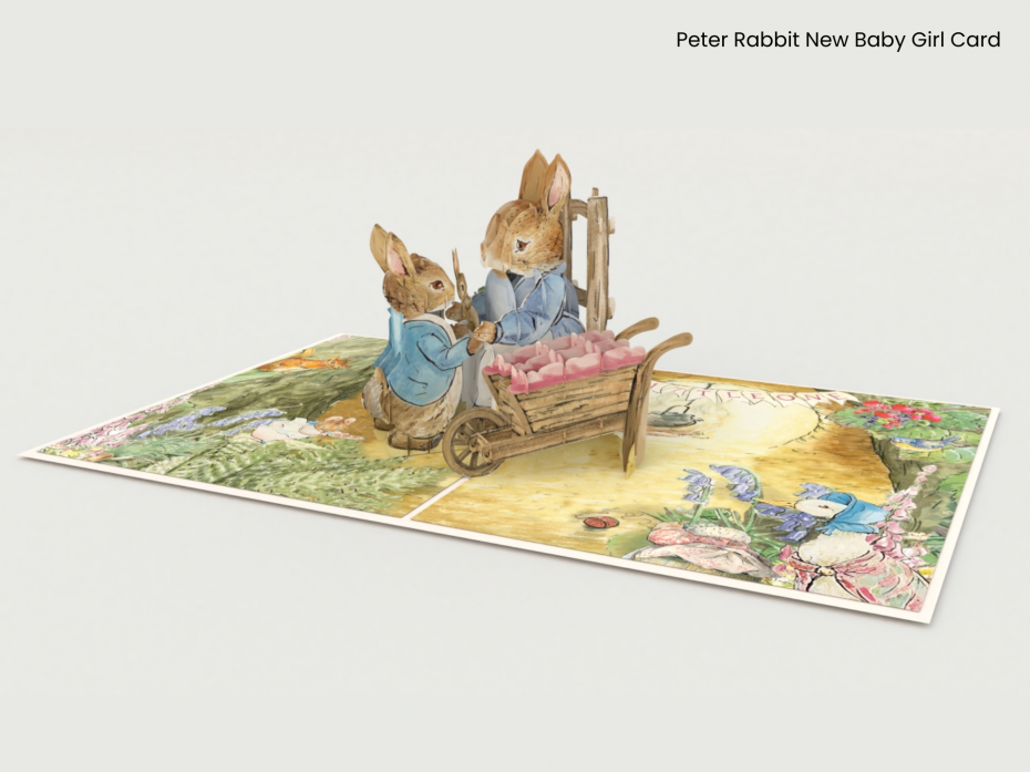 Peter Rabbit New Baby Girl Card