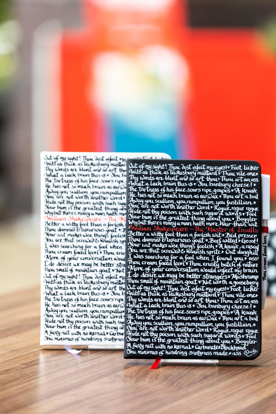 Master of Insults Notebooks - Copyright: Photography by Sara Beaumont