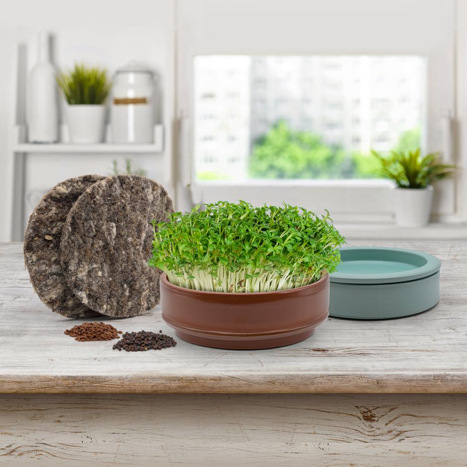 The Microgreen Growing Kit