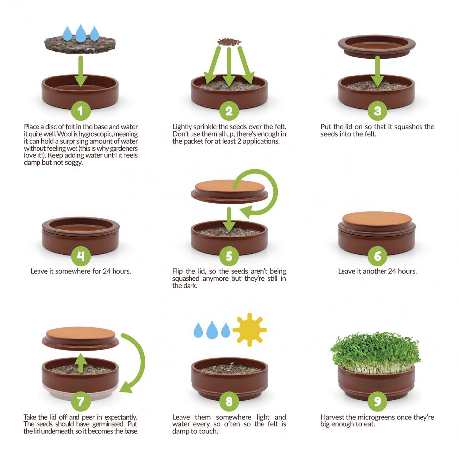 Simple and clear instructions for how to use the Microgreen Growing Kit