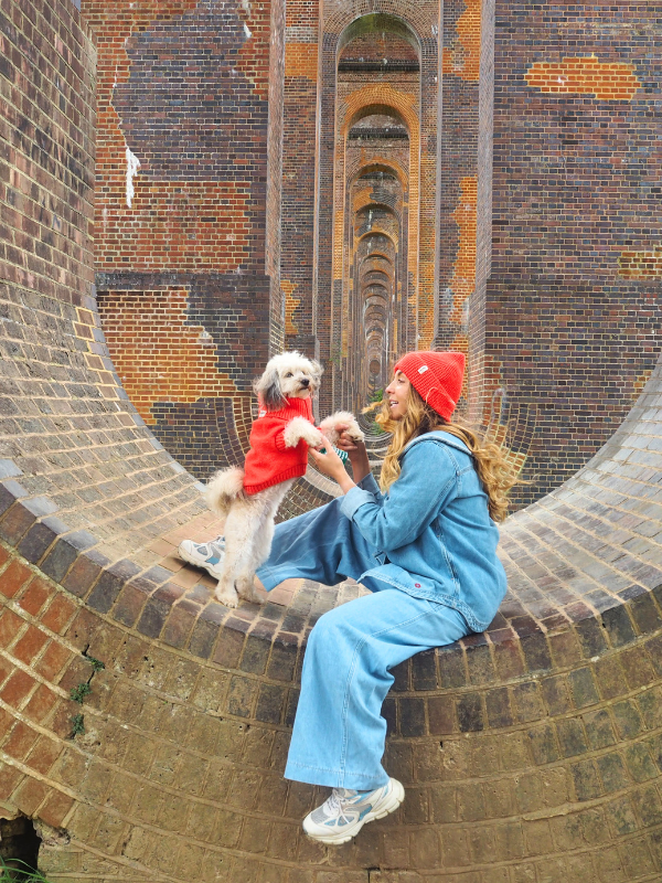 Lava Orange Dog Jumper and Matching beanie